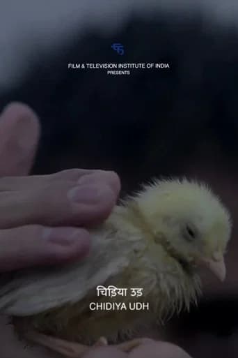 Fly, Bird poster