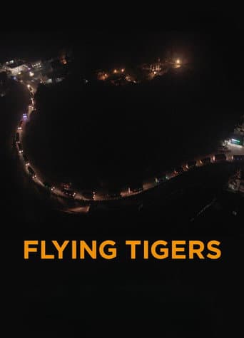 Flying Tigers poster
