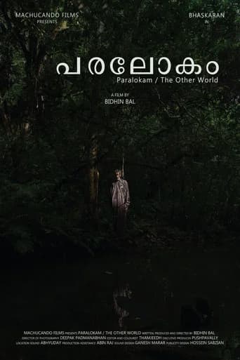 The Other World poster