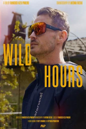 Wild Hours poster