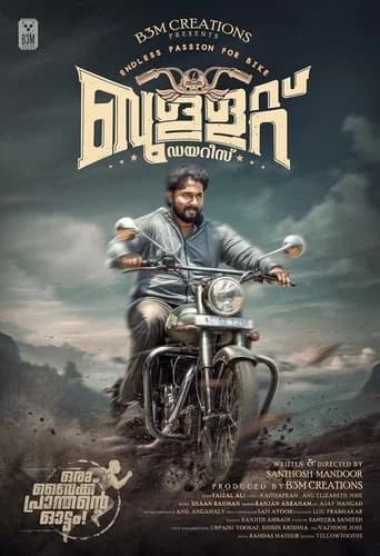 Bullet Diaries poster
