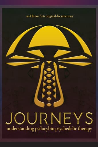Journeys poster